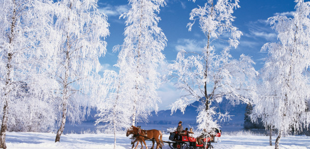     Jazda na koči s koňmi pri jazere Wolfgangsee v zime 